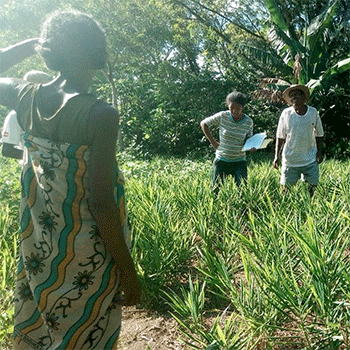 Good agricultural practices training