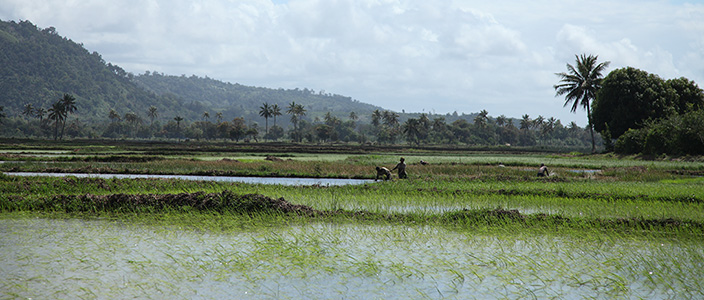 About Givaudan Foundation