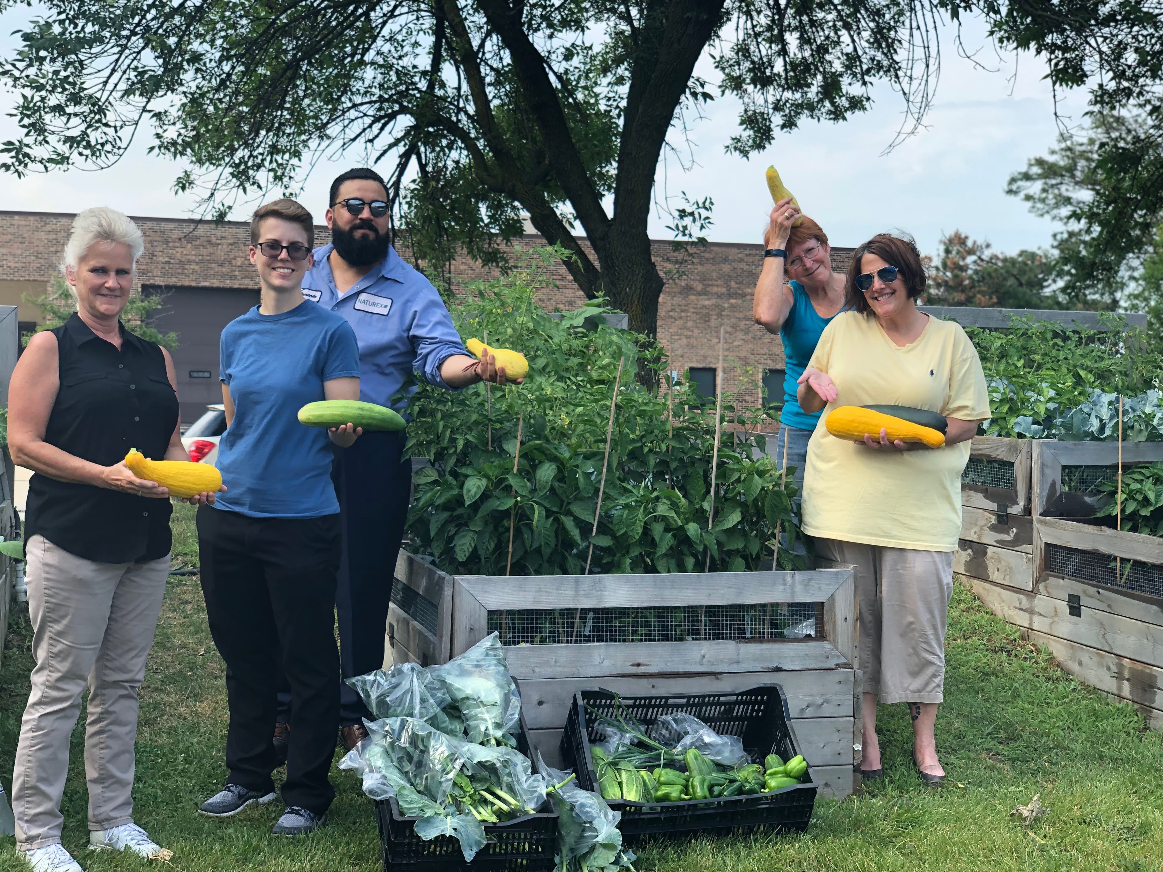 Community garden Chicago