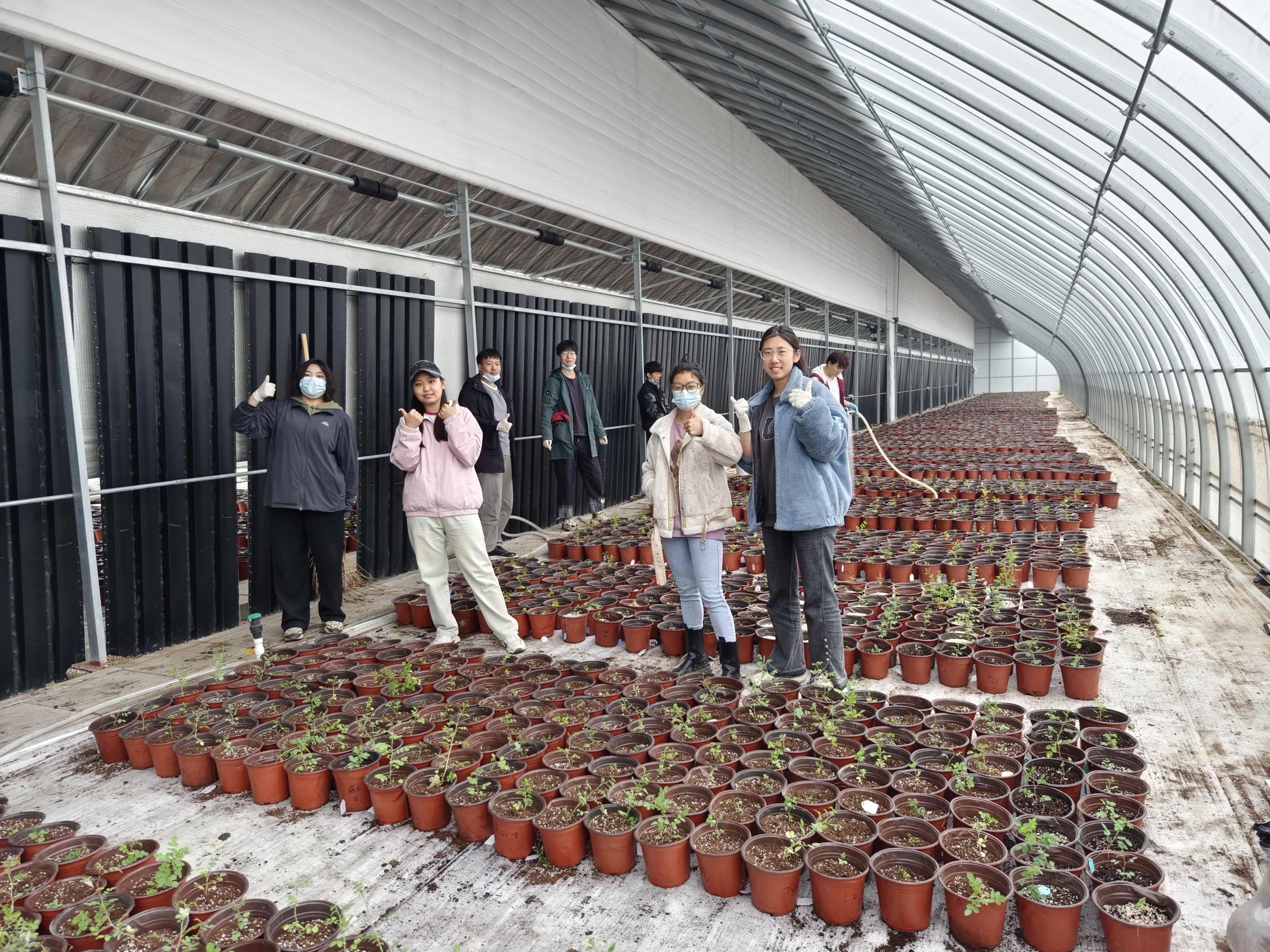 student group with seedling