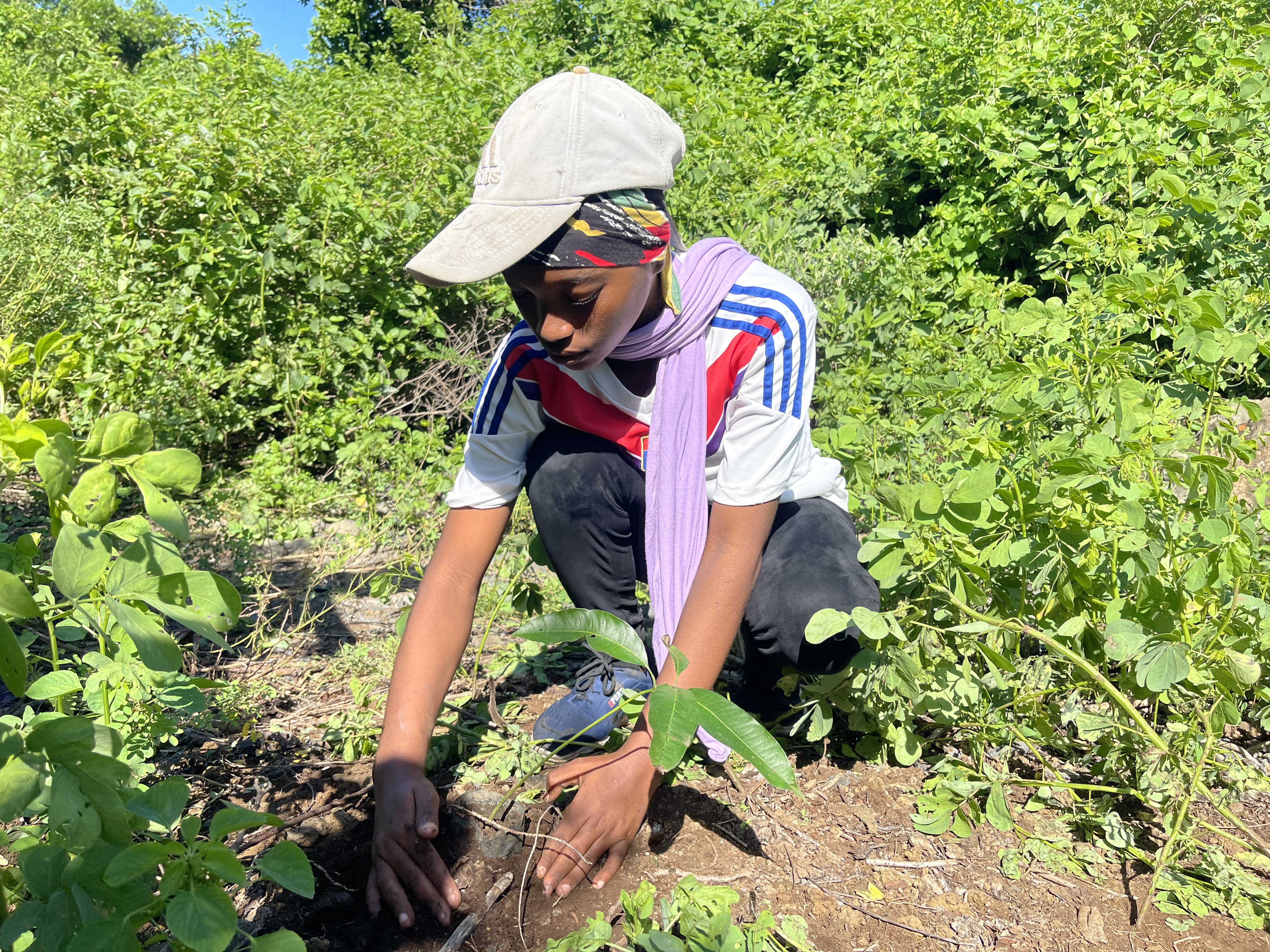 environmental education