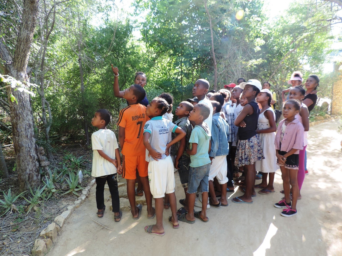 Madagascar environmental education