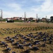 image small thumbnail