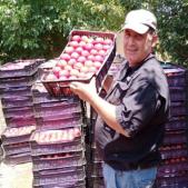 image small thumbnail